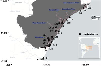 Reporting the accuracy of small-scale fishing data by simply applying Benford’s law